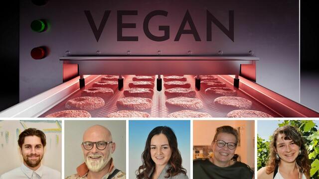 Foto: Dabarti - stock.adobe.com, RegionalMedien, Privat, Polsinger, RegionalMedien, fritzpress