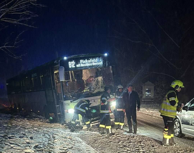 Der Bus kam von der Fahrbahn ab. | Foto: FF Unterloisdorf