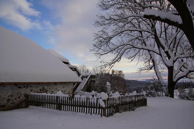 Foto: Helmut Eder