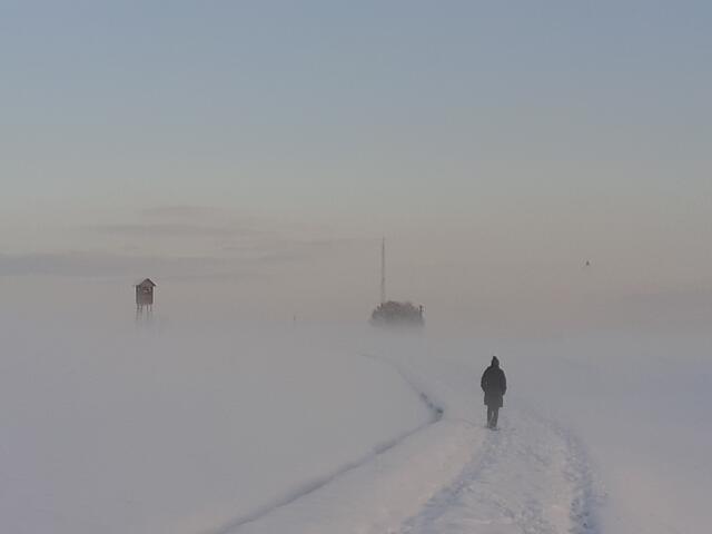 Am Weg zur Gasstation an der Gemeindegrenze Langenstein-Ried | Foto: Eckhart Herbe