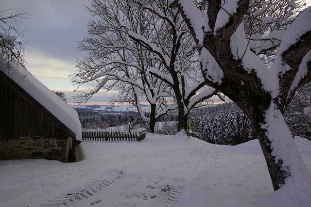Foto: Helmut Eder