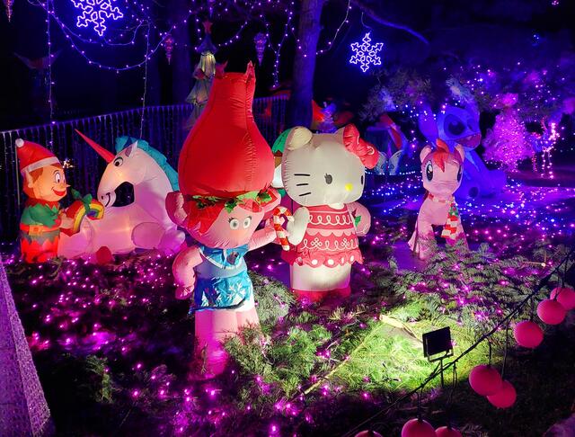 Mehr als 200 aufblasbare Weihnachtsfiguren sind im Besitz von Familie Gollnhuber – damit zählt das "Weihnachtshaus" zu Europas größter Sammlung an aufblasbaren Weihnachtsfiguren. | Foto: Gollnhuber