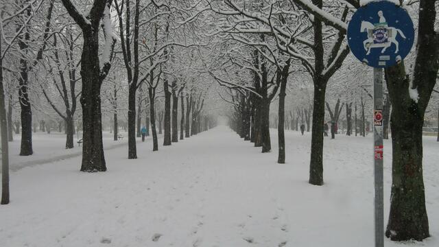 02.12.2023 die Prater Hauptallee