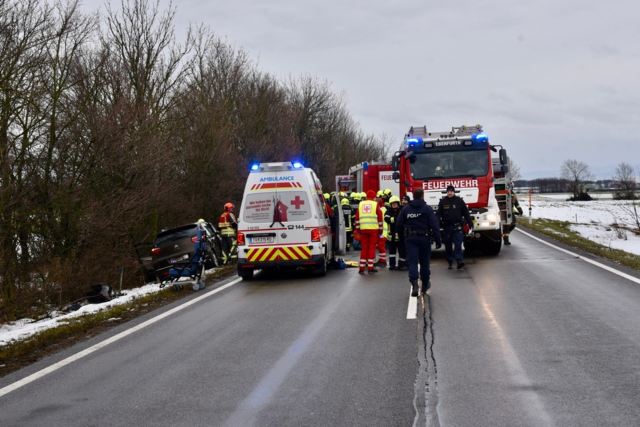 Foto: Thomas Lenger/MONATSREVUE