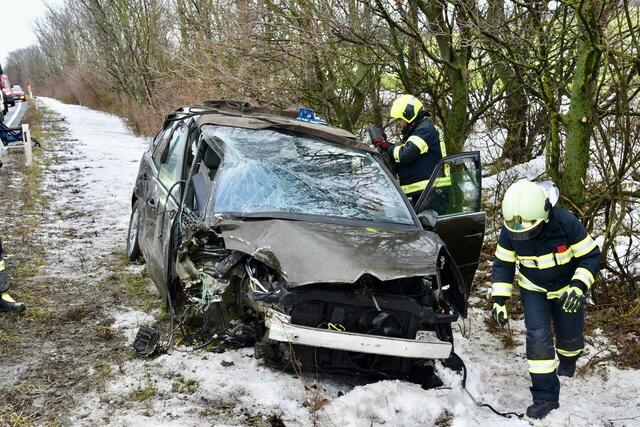 Foto: Thomas Lenger/MONATSREVUE