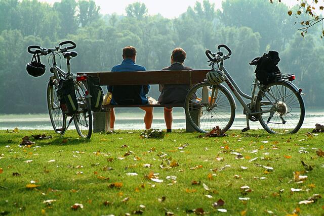 2023 war viel los im 22. Das Fahrradfahrverbot in der Unteren Lobau sorgte für viel Gesprächsstoff. 2023 wurde strenger kontrolliert. | Foto: Haider