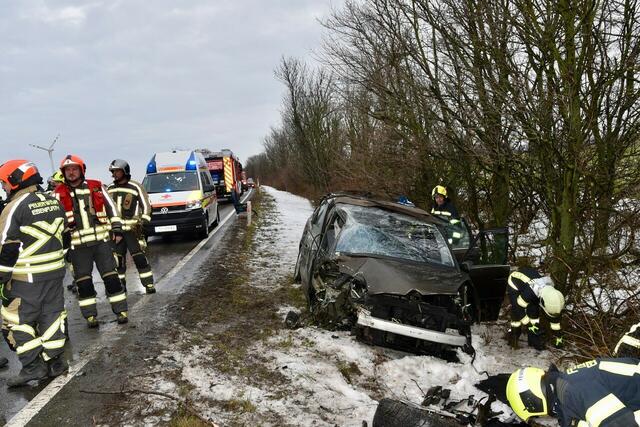 Foto: Thomas Lenger/MONATSREVUE