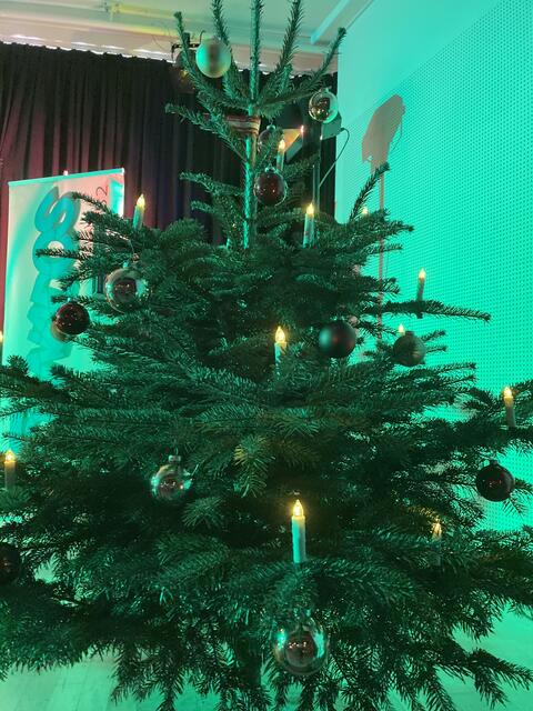 Die Christbäume für die Dekoration spendeten, Markus, Robert und Raimund Tüchler - das sind Christbäume mit Wurzeln aus Fernitz-Mellach