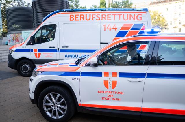 Die Einsatzkräfte fanden gegen 12.30 Uhr das Mädchen tot in der Wohnung auf, weshalb das Wiener Landeskriminalamt die weiteren Ermittlungen übernahm. (Archiv) | Foto:  GEORG HOCHMUTH / APA / picturedesk.com