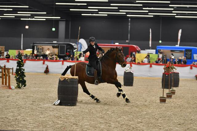 Foto: Silberpfeil Amadeus Horse Indoors 
