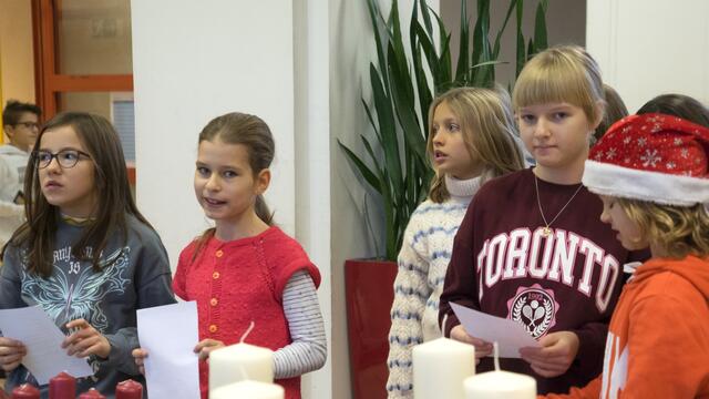 Foto: BG Babenbergerring