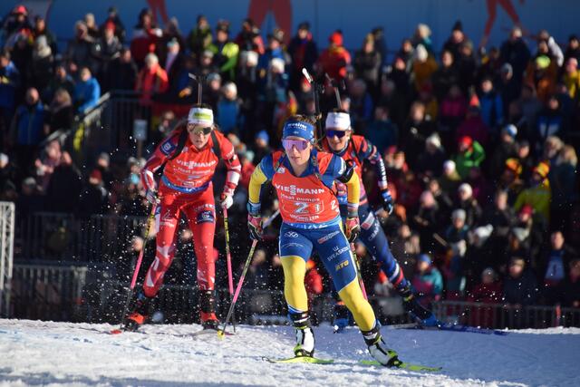Foto: Ski Austria/Weigl