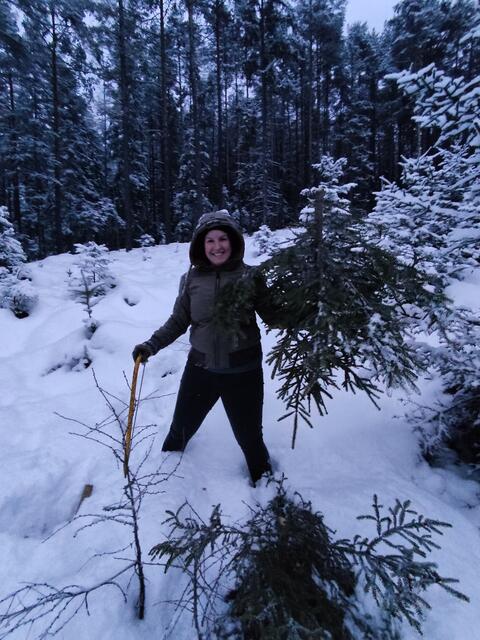 Gefunden: Verena Rinnhofer macht sich immer selbst auf in den Wald, um ihren Christbaum auszusuchen und umzuschneiden.  | Foto: Rinnhofer