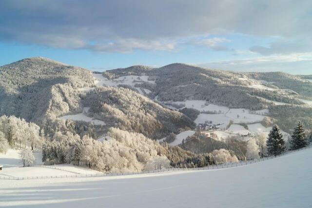 Im Namen des Gemeinderates Weihnachtswünsche aus Naas Weiz