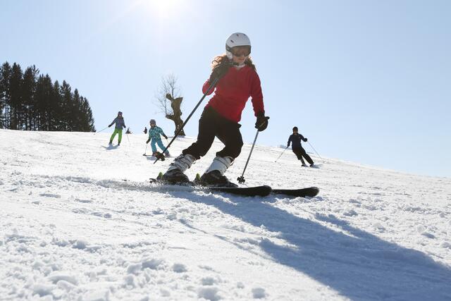 Zwo Brettln, a gführiger Schnee, juchee: Die Schigebiete im Bezirk sind der Königsberg in Hollenstein und die Forsteralm. | Foto: Mostviertel Tourismus/Schwarz-König