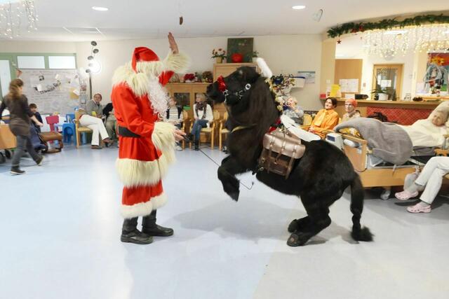 Pony Emil war im PBZ Tulln zu Gast und erfreute die Bewohner. | Foto: PBZ Tulln Lins