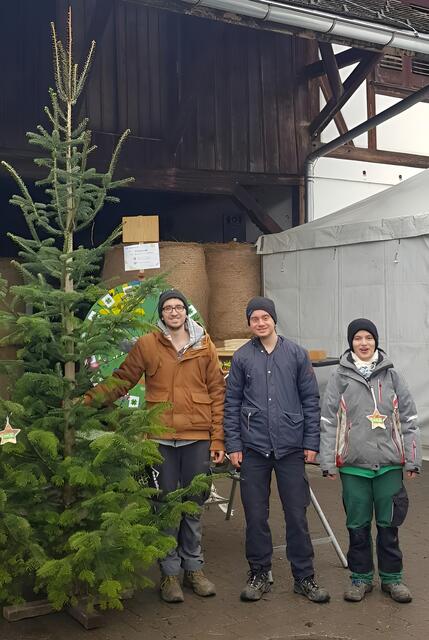 Christbaumverkauf am Sunnahof  | Foto: Lebenshilfe Vorarlberg