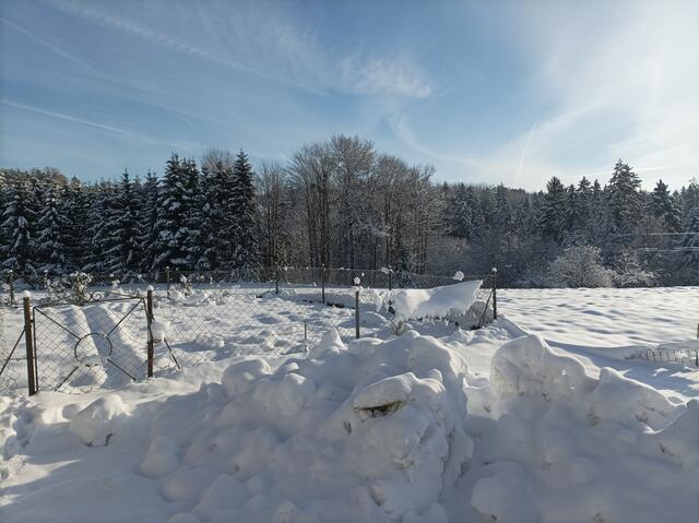 Winterlandschaft Priehetsberg Münzbach | Foto: Franz Rumetshofer
