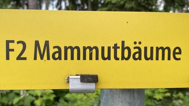 Vom Waxenberg zu den Mammutbäumen der Adalbertrast