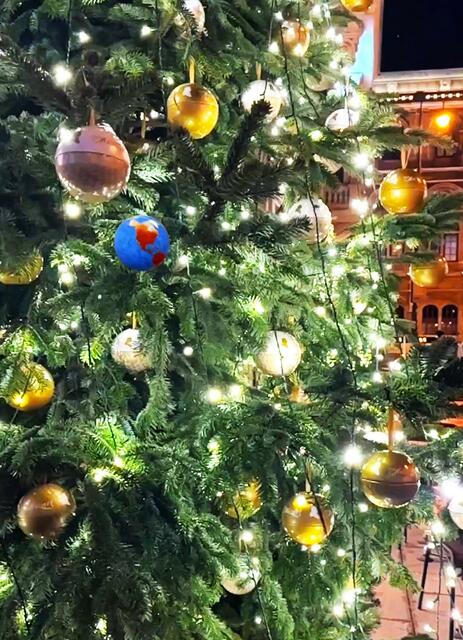 Klimabewusster Schmuck des Weihnachtsbaums  | Foto: Gerhard Knolmayer