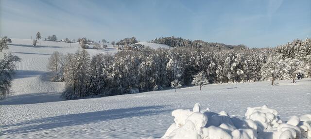 Winterlandschaft Priehetsberg Münzbach | Foto: Franz Rumetshofer