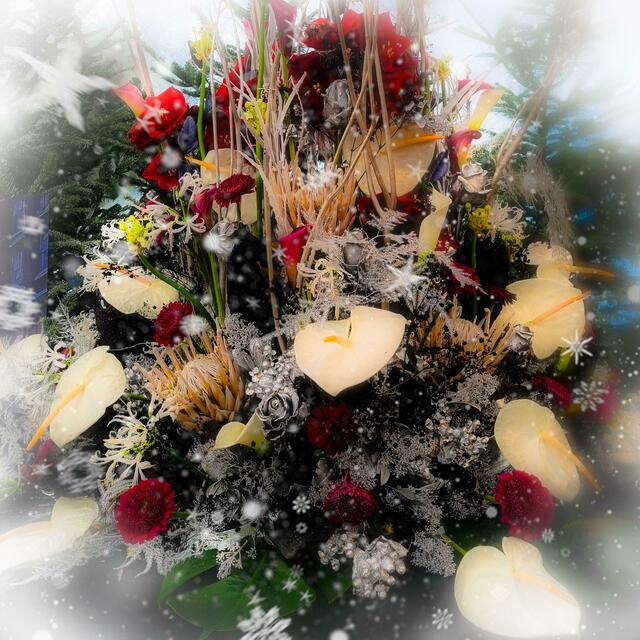 Weihnachtliches Blumengesteck  | Foto: Karmen Erhart