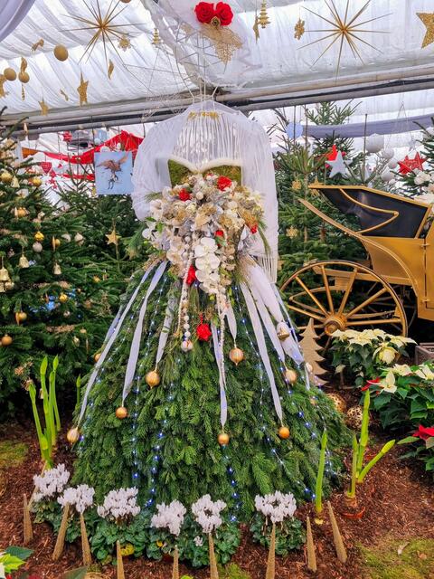 Die Blumendame | Foto: Karmen Erhart