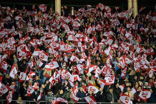 In der Vorbereitung trifft das Nationalteam im Juni im Ernst-Happel-Stadion und auswärts an.  | Foto: APA Picture Desk