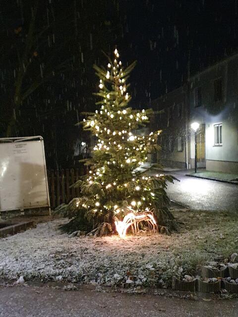 Dank "Unser Kleinrötz" erstrahlt im Ort auch der Christbaum. | Foto: Unser Kleinrötz