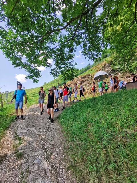 erste Singlewanderung im Juni über Kogel- und Silberberg