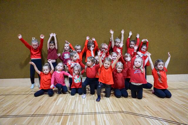 Eine große Gruppe waren die Tanzzwerge aus Hornstein: 21 Tänzerinnen tanzten gemeinsam. | Foto: Christina Karall