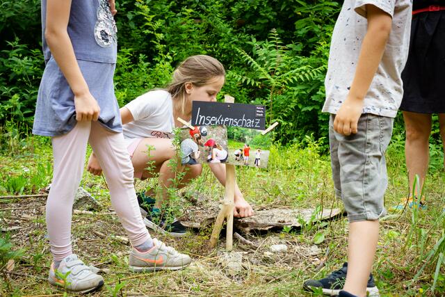 Die ersten Workshops im Vincke-Steinbruch haben dieses Jahr bereits stattgefunden.  | Foto: Natur.Werk.Stadt