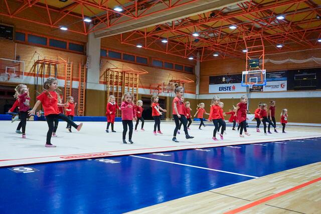 Mit eine "Eine Muh, eine Mäh" bekamen die Tanzzwerge aus Hornstein viel Applaus! | Foto: Christina Karall