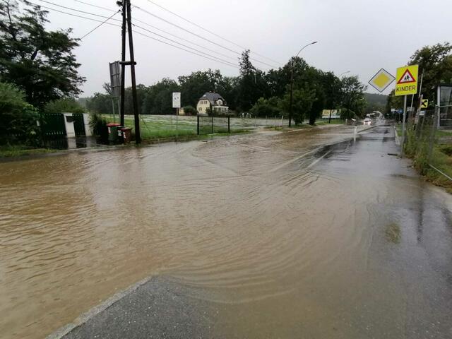 Land unter im Bezirk Ries: Nicht nur die Ragnitzstraße, sondern auch angrenzende Wiesen und Keller werden immer wieder überflutet. | Foto: privat