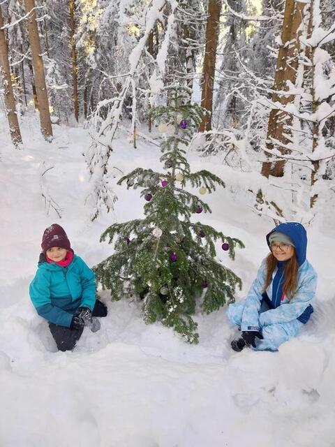 Für die Kinder sind die geschmückten Bäume im Wald eine besondere Freude.  | Foto: privat