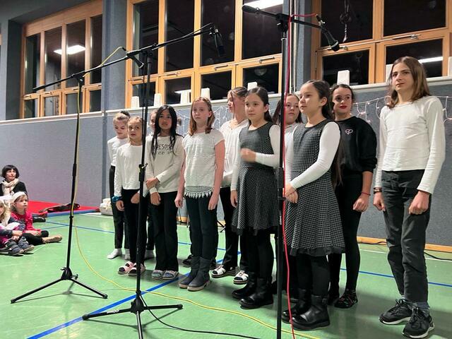 Die Kinder von Mittelschule und Volksschule waren gemeinsam am Werk. | Foto: Mittelschule Neuhaus am Klausenbach