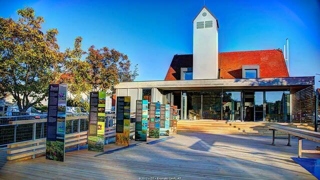Die Ortsvinothek in Purbach wir nun doch weitergeführt. | Foto: Haus am Kellerplatz