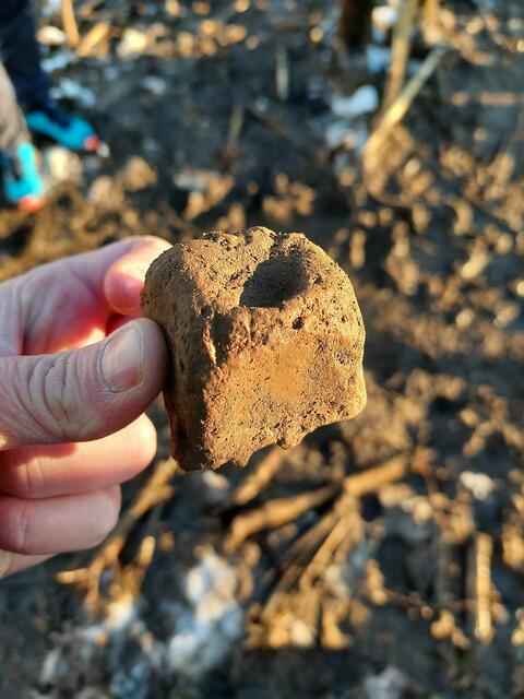 Eines der Webgewichtsfragmente, die gefunden wurden. | Foto: Karl