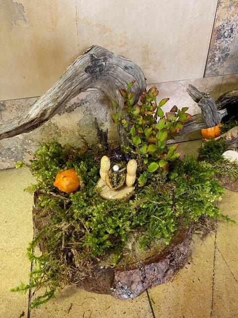 Foto: Haus Terra/Caritas