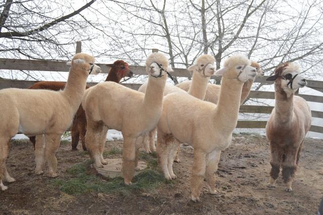 Foto: Verantwortung zeigen!