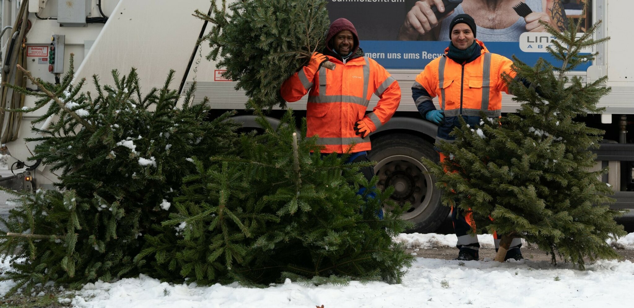 Drei Abholtage: Kostenlose Christbaum-Entsorgung im Jänner - Linz
