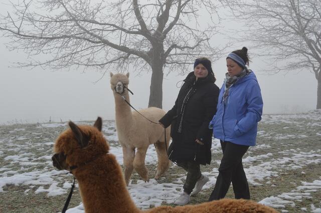 Foto: Verantwortung zeigen!