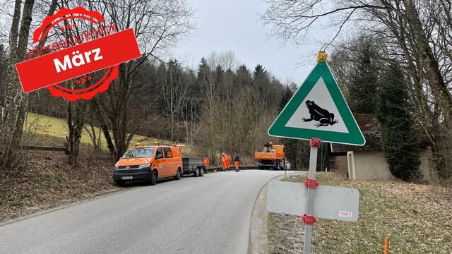 Foto: Foto: Martina Schweller