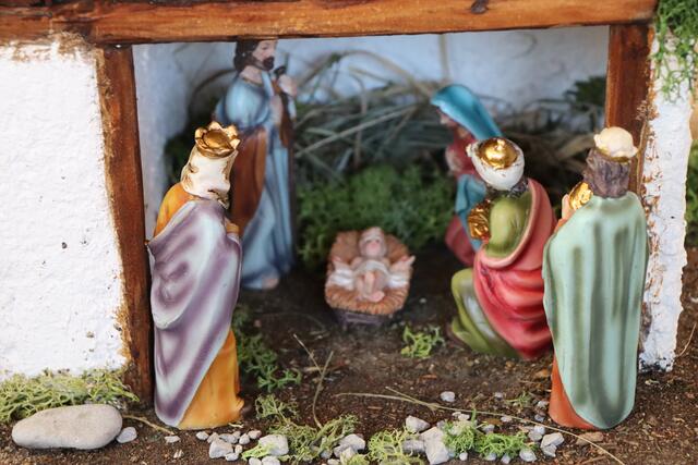 Foto: Celina Leitner