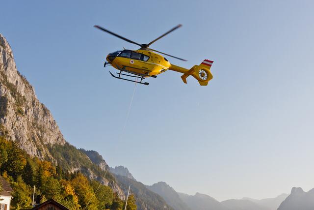 Eine 25 Meter hohe Fichte verletzte einen Forstarbeiter (Symbolfoto) | Foto: stock.adobe.com/at/Lubos Chlubny