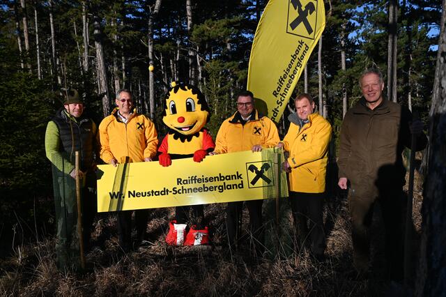 Grundbesitzer Martin Hauer, GL Mag. Wolfgang Kuhnert, SUMSI; GL Meletios Kujumtzoglu, MSc, GL Mag. Reinhold Soleder, Bezirksförster Ing. Norbert Sauerwein. | Foto: Raiffeisenbank WRN-Schneebergland