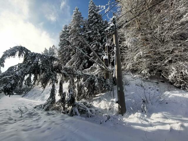 Die starken Schneefälle im Dezember haben der Strecke auf bayerischem Gebiet zugesetzt. Die Nachwirkungen sind weiterhin spürbar. | Foto: Deutsche Bahn