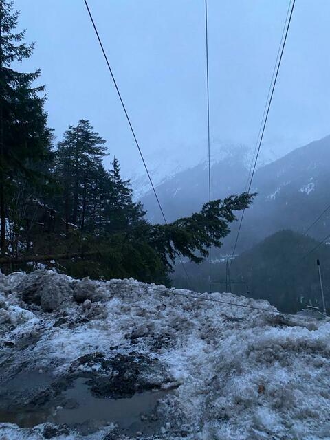 Umgestürzte Bäume sorgten vielerorts in Tirol für Einsätze.  | Foto: TINETZ