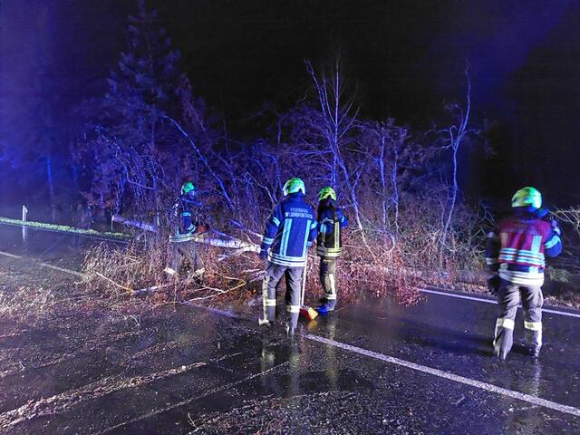 Drei Einsätze der Feuerwehr Waidhofen/Thaya in der Nacht zum 23. Dezember. | Foto: FF Waidhofen/Thaya
