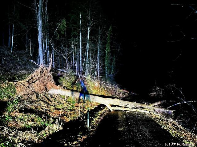 Im Voitsberger Ortsteil Lobmingberg waren Straßen wegen umgestürzter Bäume unpassierbar. | Foto: FF Voitsberg